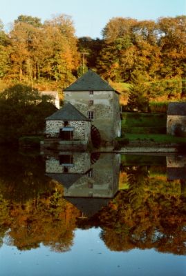 La Mayenne en automne (2)
Canon EOS 500N + 28-80mm
Pellicule 200 iso
Scan de négatif
