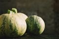 Filename=courgettes06ub0~0.jpg
Filesize=145KB
Dimensions=1035x693
Date added=Jan 08, 2007 courgettes06ub0~0.jpg