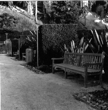 Banc Public jardin à Pau
Yashica 124 G, HP5+, f16 (je crois) (Ilfosol S)
Scan de tirage 13*13
