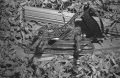 Filename=stanleymillerweb~0.jpg
Filesize=197KB
Dimensions=800x522
Date added=Apr 02, 2013 stanleymillerweb~0.jpg