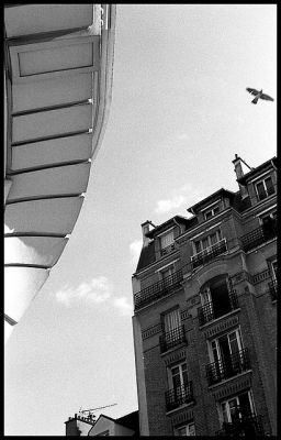Montmartre, les yeux en l'air
Nikon F301 - Nikon 50/1.8 E - FP4+

