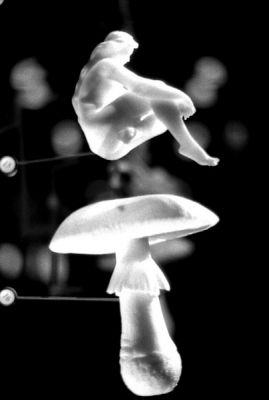 man & mushroom
