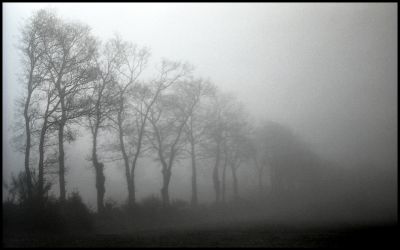 Brouillard 3
