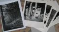 Filename=IMG_4697~0.JPG
Filesize=140KB
Dimensions=800x441
Date added=Dec 25, 2019 IMG_4697~0.JPG