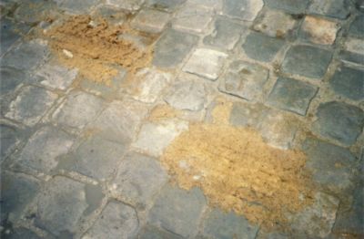 Des traces de m...
