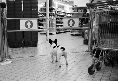Image désaturée 
Photo de ketchup.heinz

