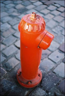 Bouche
OM4 + Zuiko 50mm + Portra 400 VC
