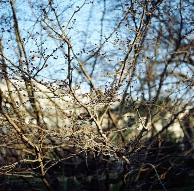 Couleurs
Blad 202FA + 80mm + Portra 160 VC
