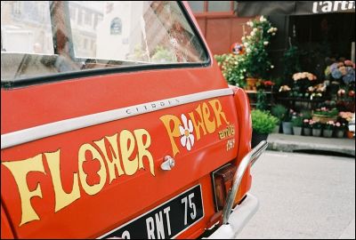 Flower_power
Contax G2 + 45mm + Portra 400 VC
