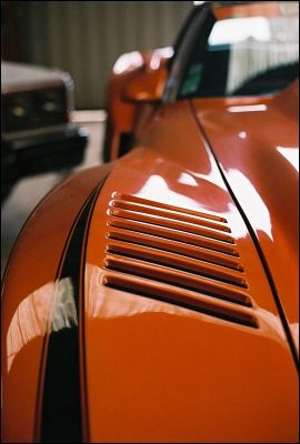 Muscle_2
Pentax LX + 50mm 1,7 + Superia 400
