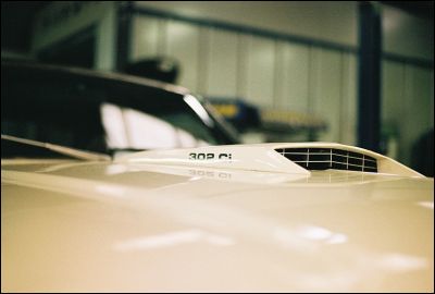 Muscle_3
Pentax LX + 50mm 1,7 + Superia 400
