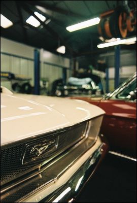 Muscle_4
Pentax LX + 50mm 1,7 + Superia 400
