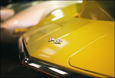Muscle_7
Pentax LX + 50mm 1,7 + Superia 400
