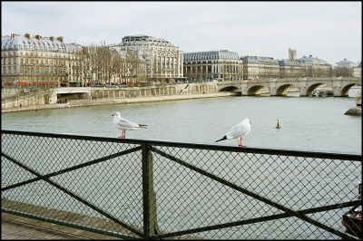 Prise de becs
Contax G2 + 45mm
