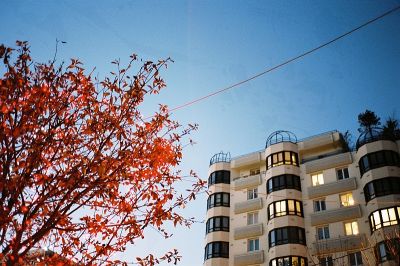 Rouge
Contax T2 + Portra 400VC
