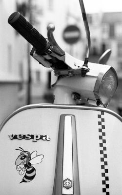 Guepe
Pentax S1a + 55mm Takumar + TriX
