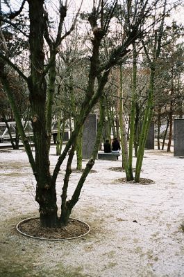 Confidences
Contax T2 + Superia 400 asa 
