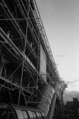 Tube
Olympus XA4 - TriX
