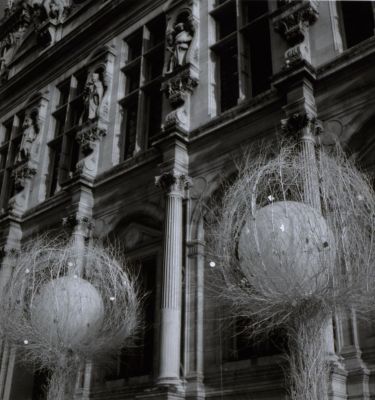 Bling bling
Rolleiflex - HP5 - brut de scan'catastrophique
