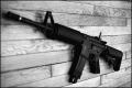 m42l.jpg