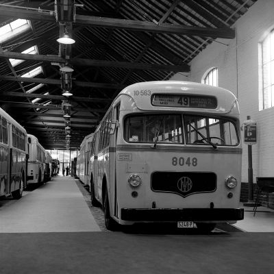 bus
