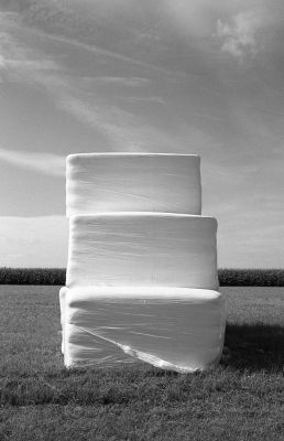 Cubes de Vlezenbeek
