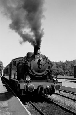 Locomotive - attention au départ
Voigtländer Bessa R3A
Nokton f 40 mm 1:1.4
TriX

