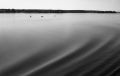 croisiere_01.jpg