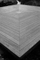 test_canonet_fev08_01304.jpg