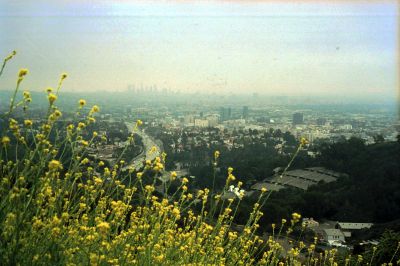 Los Angeles, vue sur Hollywood Bowl
