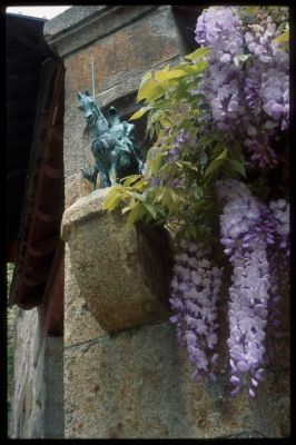 Don Quichotte
A Laval (53)
