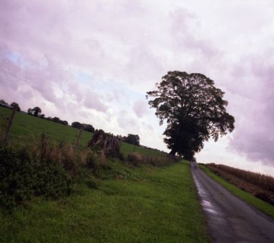 Le chêne
Premier test couleur avec une pellicule couleur dans mon Yashica Mat... pellicule bien périmée !! J'aime bien le rendu.
Mots-clés: chêne la bigottière mayenne route