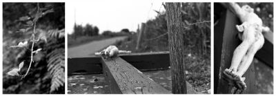Tryptique : A l'abandon
Olympus OM2 > 1,4/50mm > TriX@400 > Rodinal 1+50 / 14min / 20,5°C / retournements toutes les minutes 1/2
Mots-clés: Olympus OM2 zuiko 1,4 50mm Trix 400 Rodinal