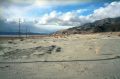 2008_02_Calif04_037b.jpg
