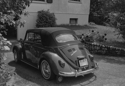 3S8A1939_28129.jpg