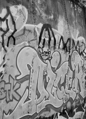 3S8A9555_28129.jpg