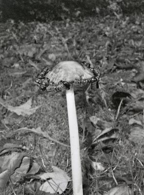 3S8A9935_28129.jpg