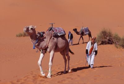 Maroc_film34_09.jpg