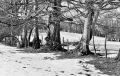 3S8A0031_28229.jpg
