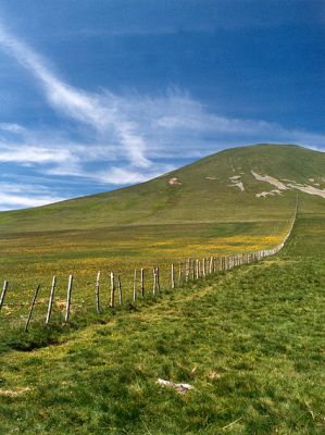 ESTIVE AUVERGNATE
Ligne des piquets sur cette colline d'estive créant une belle diagonale montante!
Le contrepoint donné par la traînée de l'avion.
J'ai utilisé un polarisant.
