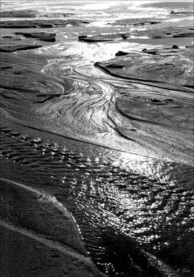 RETRAIT DE MAREE
A marée descendante, la mer se retire.
Mots-clés: Vacances Piriac