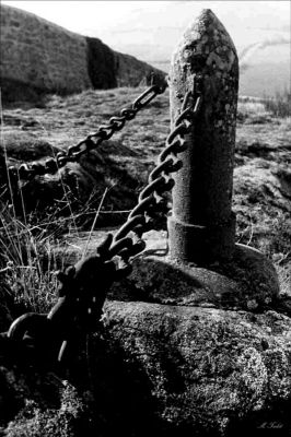 PLUS JAMAIS
Un obus, enchaîné par des hommes pour signifier que ça ne recommencera jamais!
Cimetière de Saint Floret 63
Mots-clés: Obus, cimetière, chaîne.