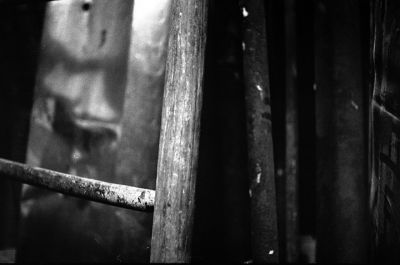 Richter
portes ouvertes des frigos.

Nikon FM - 50/2 - trix à 1600 ID 11 1+1
