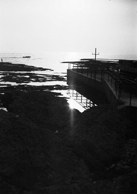 Chat malin
Ville de Byblos Liban Aout 2008

Pentax MX - 28/2.8 ou 50/1.7 Pentax - APX 100 Rodinal 
Mots-clés: Liban - Byblos - Mer - Pecheur