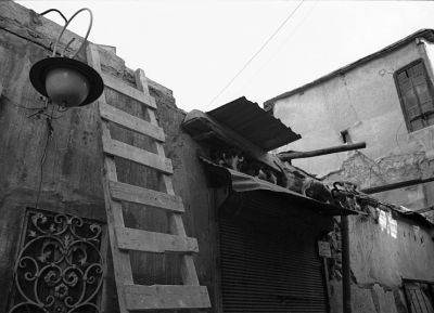 Carnivore
Damas - Centre Historique - Septembre 2008

Pentax MX - SMC-M 28/2.8 - Agfa APX 100 Rodinal. 
Mots-clés: Syrie- Damas - Rue - Chat