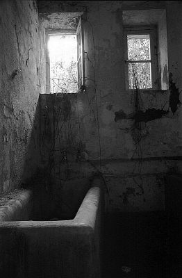 Bain de lumière
Anciens bains thermaux de Guitera (Corse).

Pentax LX - SMc-M 50 -TriX 400
Mots-clés: Friche - Corse