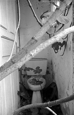 Figue
Anciens bains thermaux de Guitera (Corse).

Pentax LX - SMc-M 50 -TriX 400
Mots-clés: Friche - Corse
