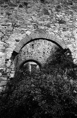 Argentella 3
Pentax LX - Trix 400

