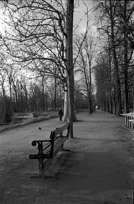 L'enfant et l'oiseau
Olympus XA - Trix à 800
Mots-clés: Paris - tuileries - bancs