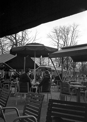 Le rapprochement
Olympus XA - Trix à 800
Mots-clés: Paris - tuileries - bancs